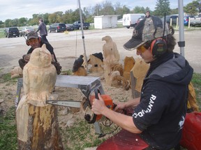 Father and son carvers from HGTV'S Carver Kings demonstrate their skills at the Woodstock Woodworking Show. (HEATHER RIVERS, Sentinel-Review file photo)