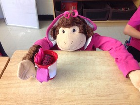 Rebecca Kipfer-Pryce has been fighting cancer for more than a year now. In her Grade 4 classroom at Seaforth Public School, a stuffed monkey is placed in the corner to represent her when she is not in attendance.(Submitted photo)