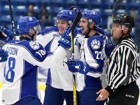Sudbury Wolves celebrate a goal against the Barrie Colts during OHL action at the Sudbury Community Arena in Sudbury, Ont. on Friday September 30, 2016. John Lappa/Sudbury Star/Postmedia Network