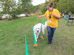 Casey Lebrun, of Magical Paws, takes her dog, Sidda, through an obstacle course at Woof Fest at Minnow Lake Place in Sudbury, Ont. on Saturday October 1, 2016. John Lappa/Sudbury Star/Postmedia Network