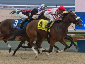 Jockey Eurico Da Silva and Cindervella (right) swept past the field to win the $125,000 South Ocean Stakes on Saturday. Da Silva now has 139 wins on the year. (Michael Burns photo)