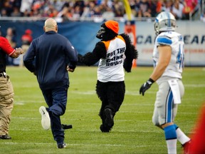 A person in a gorilla costume is chased by security on the field during second half NFL action between the Bears and Lions in Chicago on Sunday, Oct. 2, 2016. (Charles Rex Arbogast/AP Photo)