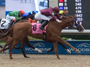 Jockey David Moran guides Thor’s Rocket (right) to victory in the $125,000 Vice Regent Stakes at Woodbine Racetrack. (Michael Burns photo)