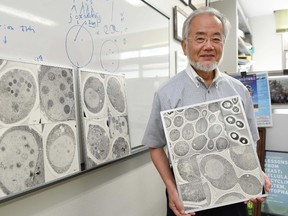 In this July, 2016 photo, Japanese scientist Yoshinori Ohsumi smiles at the Tokyo Institute of Technology campus in Yokohama, south of Tokyo. Ohsumi was awarded this year's Nobel Prize in medicine on Monday, Oct. 3, for discoveries related to the degrading and recycling of cellular components. (Akiko Matsushita/Kyodo News via AP)