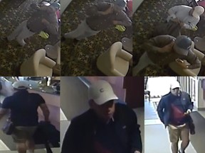 Halton Regional Police released these images of suspects in a series of purse snatchings in area hotels since June 2016.