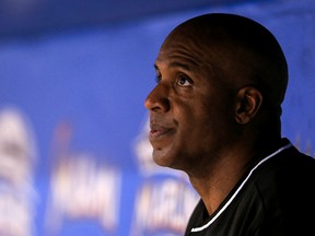 Miami Marlins hitting coach Barry Bonds looks on from the dugout during the seventh inning of a baseball game against the Atlanta Braves on Saturday, Sept.  24, 2016, in Miami. (AP Photo/Rob Foldy)