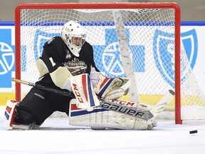 TGH netminder Chris Janzen is the OJHL Goaltender of the Month for September. (OJHL Images)