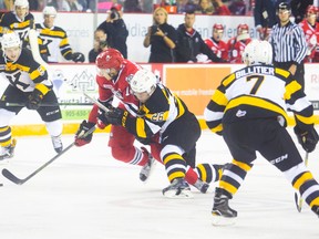 Kingston Frontenacs defencemen Liam Murray (5) and Nathan Billitier look on as teammate Ted Nichol and Niagara IceDogs’ Chris Paquette fight for the puck during an OHL game in St. Catharines on Sept. 30.
(Julie Jocsak/Postmedia Network)