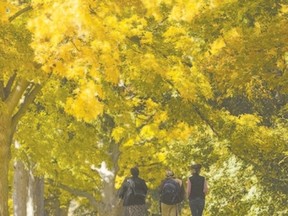 Be thankful for the nature around us by taking a family walk this weekend. (Mike Hensen/The London Free Press)