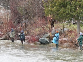 Fishermen line the west bank of the Beaver River in Thornbury in this file photo from 2014.