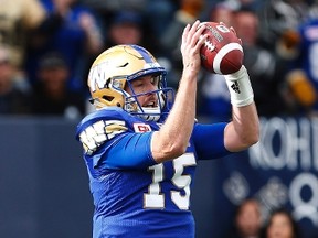 Matt Nichols catches his first touchdown pass against the Lions on Saturday. (JOHN WOODS/Canadian Press)