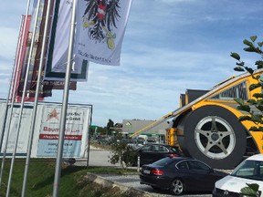 In this undated photo provided by Ing. Mag. Voglreiter GmbH a flag with fierce-looking eagles with bananas in their claws flies in the western Austrian town of Obertrum. Like others, Voglreiter thinks that repeatedly failed or postponed attempts to elect a president give Austria the image of a banana republic. (Markus Voglreiter via AP)