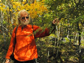Albert Sieve points out an eastern hemlock to participants in the annual Thanksgiving fall colours walk through the oak forest in Minnow Lake. (Carol Mulligan/Sudbury Star)