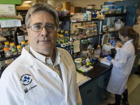 Dr David Picketts and his research team at The Ottawa Hospital Research Institute have discovered that running helps to produce a molecule that repairs the brains of animals with neuro degenerative disease. ERROL MCGIHON / POSTMEDIA