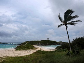 Wind and surf picks up as Hurricane Nicole approaches the Cooper’s Island Nature Reserve in St. Georges, Bermuda, Wednesday, Oct. 12, 2016. (AP Photo/Mark Tatem)