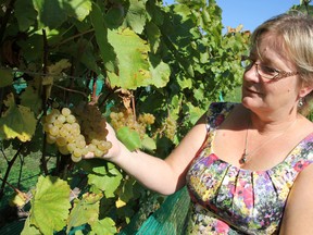 Anne Alton is shown in this file photo in the vineyard at Alton Farms Estate Winery in Aberarder. The Lambton County winery sold wine this year at three seasonal weekly farmers' markets. 
File photo/ THE OBSERVER