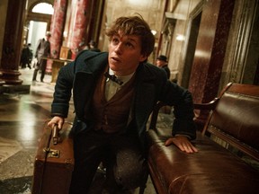 Eddie Redmayne in 'Fantastic Beasts and Where to Find Them.'