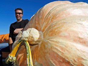 Ryan Hoelke of Eganville kneels next to his prize-winning giant pumpkin Saturday at the 20th-annual Prince Edward County Pumpkinfest in Wellington. The 100-day-old pumpkin weighed 1,800.5 lbs.