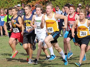 Runners in the junior boys race break at the starting gun during the 2016 Bay of Quinte Invitational XC meet late last week at Goodrich-Loomis CA north of Brighton. (Submitted photo)