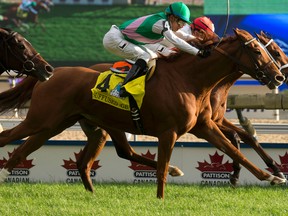 Al’s Gal, on the rail, holds off Suffused (4) by a nose to win the E.P. Taylor Stakes yesterday at Woodbine. (MICHAEL BURNS PHOTO)