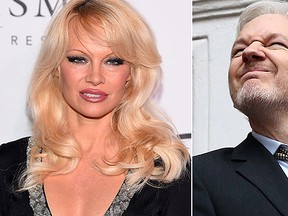 Pamela Anderson, left, and WikiLeaks founder Julian Assange, right, are pictured in these file photos. (Getty Images)