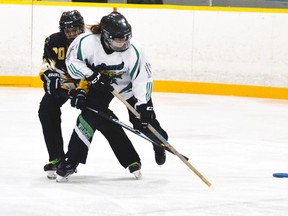 On the defence, the Stingers' Jaci Mitchell (left) manages to poke the ring loose from the Kitchener attacker during U16A ringette action last Saturday, Oct. 15. Mitchell won, 5-3. GALEN SIMMONS MITCHELL ADVOCATE