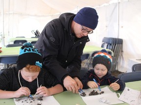 Children enjoyed various activities including owl crafts and dissecting owl pellets at the open house in Berrymoor hosted by Lafarge.