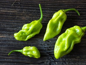 A ghost pepper is one of the world's hottest. (Getty Images)