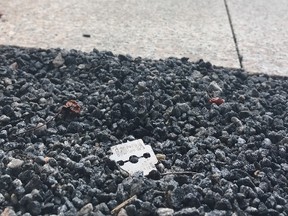 Razor blade found strewn in garden and gravel patches in June Callwood Park, near Bathurst St. and Lake Shore Blvd. W., on Tuesday, Oct. 18, 2016. (CHRIS DOUCETTE/TORONTO SUN)