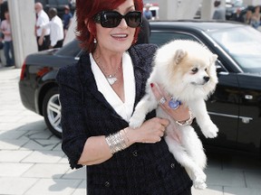 Sharon Osbourne arrives holding her dog during the first day of auditions for X Factor, Series 4 at Arsenal Emirates Stadium on June 9, 2007 in London, England. (Photo by Daniel Berehulak/Getty Images)