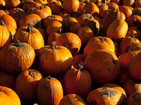 Pumpkin Stock Photo