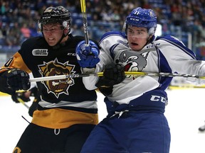 Hamilton Bulldogs Cole Candela and Sudbury Wolves Alan Lyszczarczyk  battle for position during OHL action from the Sudbury Community Arena in Sudbury, Ont. on Friday October 14, 2016. Gino Donato/Sudbury Star/Postmedia Network