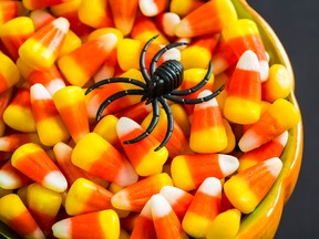 Parents need not worry about long-term affects of Halloween candy. - Photo by Metro Creative Graphics