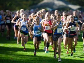 The senior girls race from the start at the TVRA cross-country championships at Springbank Park on Wednesday. The girls ran five kilometres while the senior boys race was seven km. (Mike Hensen/The London Free Press)
