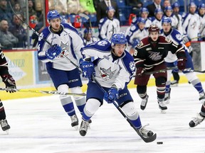 David Levin, middle, of Sudbury Wolves, looks for an opening during OHL action against the Peterborough Petes at the Sudbury Community Arena in Sudbury, Ont. on Friday October 21, 2016. John Lappa/Sudbury Star/Postmedia Network