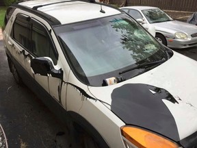 Greater Sudbury Police investigators are looking for the people who vandalized the SUV of an elderly New Sudbury couple.