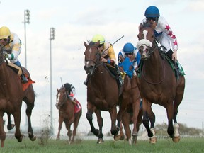 Jockey Jesse Campbell guides Caren to victory in the $150,000 Carotene Stakes at Woodbine Racetrack yesterday. Campbell also won the $150,000 Fanfreluche Stakes for two-year-old fillies earlier in the day. (Michael Burns/photo)