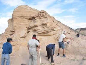 University of Alberta researcher Gregory Funston has uncovered evidence that small bird-like dinosaurs lived together in groups in the Late Cretaceous period in Mongolia. SUPPLIED / EDMONTON