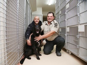City of Greater Sudbury bylaw enforcement officers Jerome Waroux and Michel Prevost, with Wolf, at the new municipal animal shelter at 39 Kari Road in Wahnapitae in this file photo. (Gino Donato/Sudbury Star)