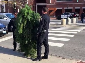 A man in Portland, Maine, dressed up as a tree, wandered into an intersection and blocked traffic. (Screen grab)