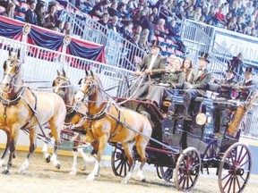 Some know how to compete in style at the Royal Agricultural Winter Fair. (Howard Schatzberg, Special to Postmedia News)