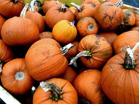 Pumpkins are stacked in crates at a farm in Lydiate, near Liverpool, north-west England on October, 14, 2014. (PAUL ELLIS/AFP/Getty Images)