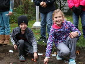 Jessica Salmon/ALCDSB Photo
Asher Cousens and Grace Crawford get ready to plant tulip bulbs at St. Joseph Catholic School in Belleville on Thursday. The tulips, which were planted in the shape of a Canadian flag, were one of only 150 such gardens across the country to celebrate Canada's 150th birthday next year.