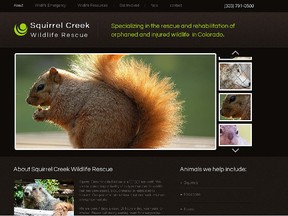 Squirrel Creek Wildlife Rescue. (Website screenshot)