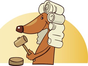 Dog judge