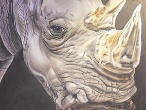 A rhinoceros is one of the paintings by London artist Christine Johnson included in a new exhibition on at the Art Gallery of Lambeth.