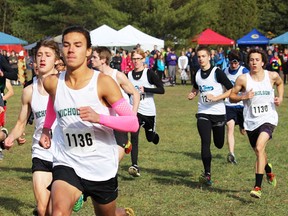 Nicholson runners Bobby Buck (left) and Nate St. Romain bolt from the start line during the senior boys race at this week's COSSA XC championships held at Goodrich-Loomis CA. (Submitted photo)