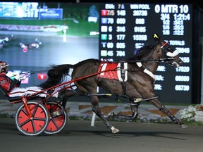 Wiggle it Jiggleit will look to wrap up his second straight horse of the year title. (Supplied Photo)