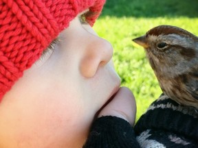 Janie Beauparlant of Garson is this week's winner of The Sudbury Star Outdoors Photo Contest. "My son Phoenix got an up-close look at this little bird who let me hold him for a few minutes before flying away," she wrote with her submission. Beauparlant wins a pair of Science North passes for having the winning entry. Send photos to be included in the contest to sud.outdoors@sunmedia.ca.