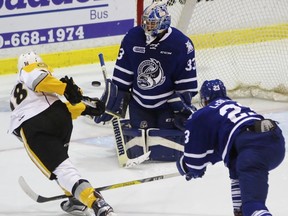 Sarnia Sting forward Louis Latta fires a slap shot at Mississauga Steelheads goalie Matthew Mancina with teammate Stefan LeBlanc trying to alter the shot during the Ontario Hockey League game at Progressive Auto Sales Arena on Friday, Oct. 28, 2016 in Sarnia, Ont. Latta scored his first career OHL goal in a 5-2 win. (Terry Bridge/Sarnia Observer)
